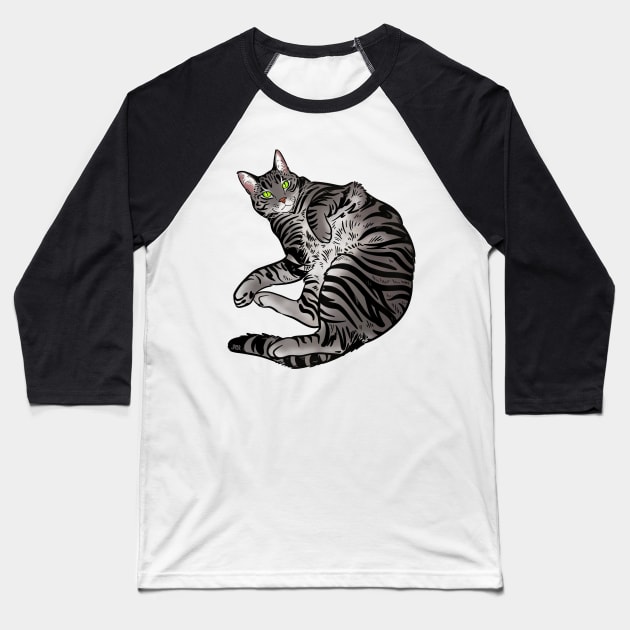 Silver tabby Baseball T-Shirt by jastinamor